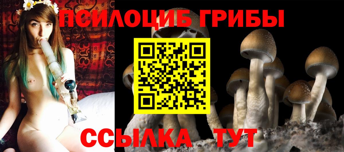 Псилоцибиновые грибы Cubensis  Вход с VPN  купить наркотики сайты  Алексеевка 